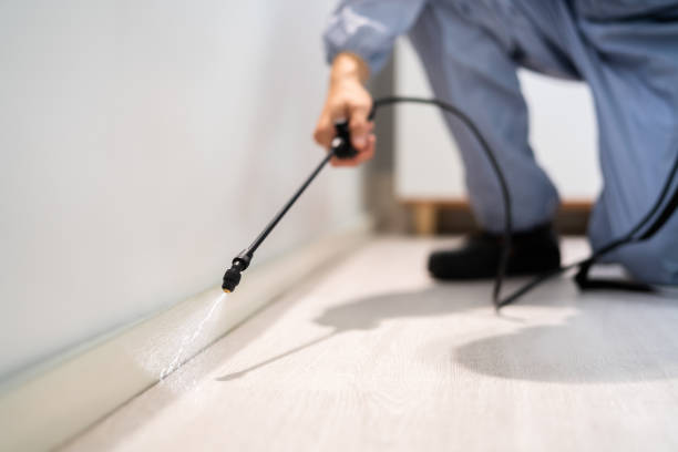 Professional exterminator conducting IPM assessment in Carrollton
